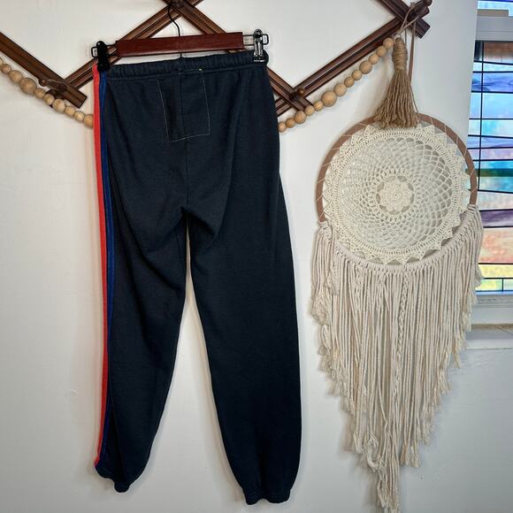 Aviator Nation Charcoal Four Stripe Sweatpant Joggers - Picture 5 of 5